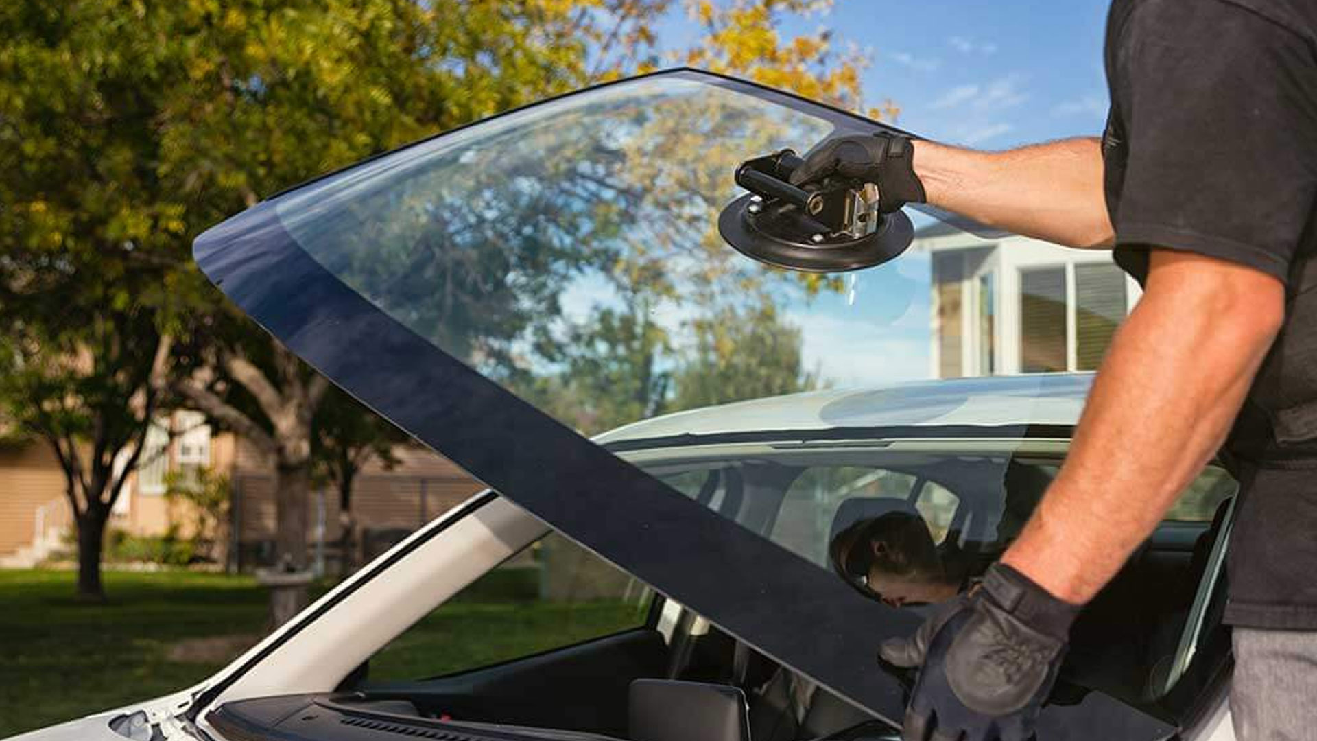 Established Auto Glass & Tint Business